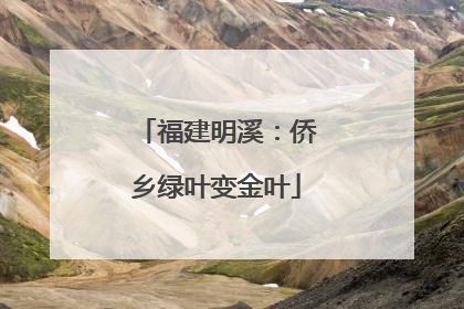 福建明溪：侨乡绿叶变金叶