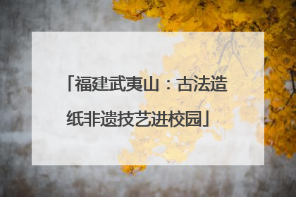 福建武夷山：古法造纸非遗技艺进校园