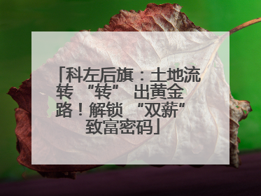 科左后旗：土地流转 “转” 出黄金路！解锁 “双薪” 致富密码