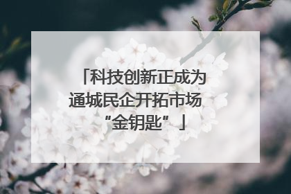 科技创新正成为通城民企开拓市场“金钥匙”