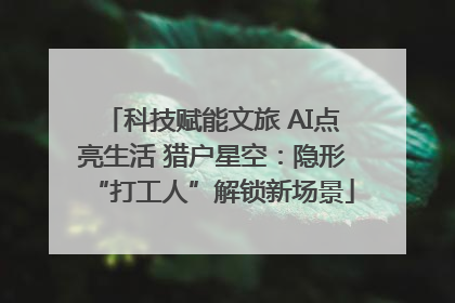 科技赋能文旅 AI点亮生活 猎户星空：隐形“打工人”解锁新场景