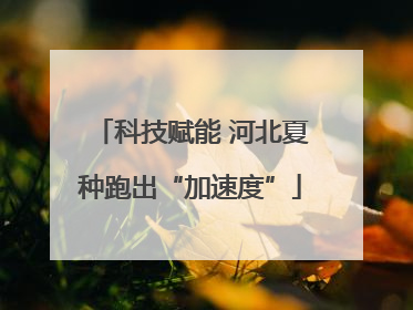 科技赋能 河北夏种跑出“加速度”