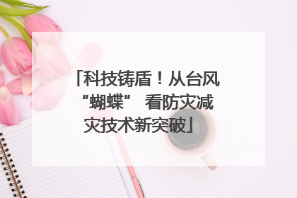 科技铸盾！从台风“蝴蝶” 看防灾减灾技术新突破