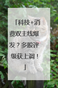 科技+消费双主线爆发？多股评级获上调！