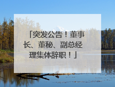 突发公告！董事长、董秘、副总经理集体辞职！