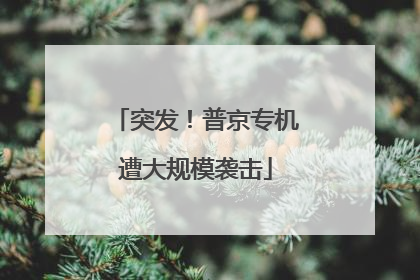 突发！普京专机遭大规模袭击