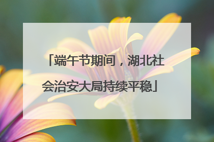 端午节期间，湖北社会治安大局持续平稳