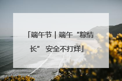 端午节｜端午“粽情长” 安全不打烊