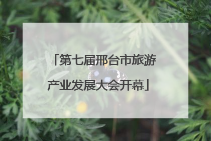 第七届邢台市旅游产业发展大会开幕