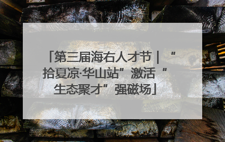第三届海右人才节｜“拾夏凉·华山站”激活“生态聚才”强磁场