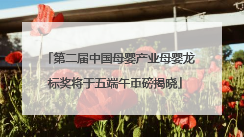 第二届中国母婴产业母婴龙标奖将于五端午重磅揭晓