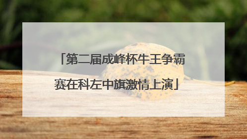 第二届成峰杯牛王争霸赛在科左中旗激情上演
