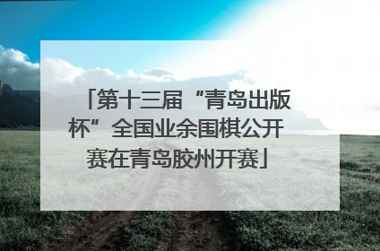 第十三届“青岛出版杯”全国业余围棋公开赛在青岛胶州开赛