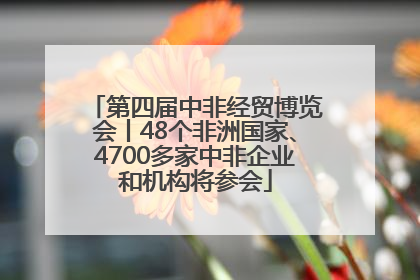 第四届中非经贸博览会丨48个非洲国家、4700多家中非企业和机构将参会