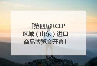 第四届RCEP区域（山东）进口商品博览会开幕
