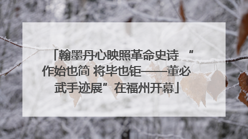 翰墨丹心映照革命史诗 “作始也简 将毕也钜——董必武手迹展”在福州开幕
