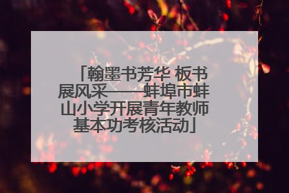 翰墨书芳华 板书展风采——蚌埠市蚌山小学开展青年教师基本功考核活动