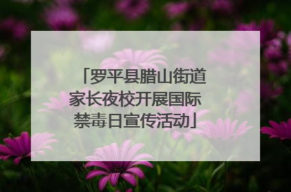 罗平县腊山街道家长夜校开展国际禁毒日宣传活动