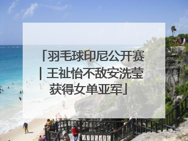 羽毛球印尼公开赛｜王祉怡不敌安洗莹 获得女单亚军
