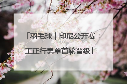 羽毛球｜印尼公开赛：王正行男单首轮晋级