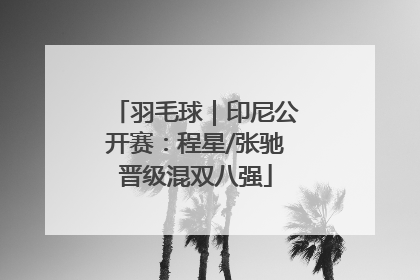 羽毛球｜印尼公开赛：程星/张驰晋级混双八强