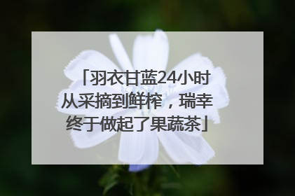羽衣甘蓝24小时从采摘到鲜榨，瑞幸终于做起了果蔬茶