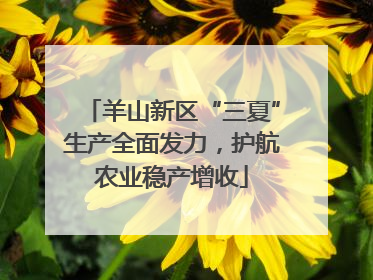羊山新区“三夏”生产全面发力，护航农业稳产增收