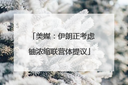 美媒：伊朗正考虑铀浓缩联营体提议