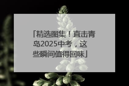 精选图集！直击青岛2025中考，这些瞬间值得回味