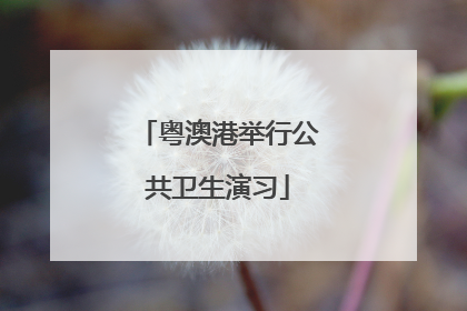 粤澳港举行公共卫生演习
