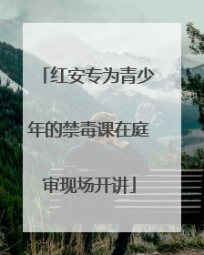 红安专为青少年的禁毒课在庭审现场开讲