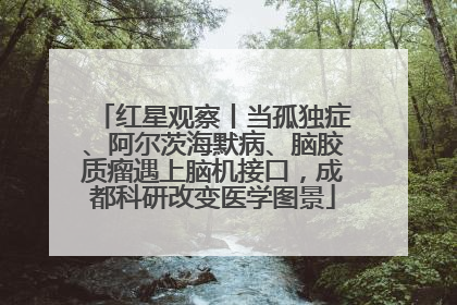 红星观察丨当孤独症、阿尔茨海默病、脑胶质瘤遇上脑机接口，成都科研改变医学图景