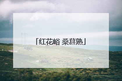 红花峪 桑葚熟