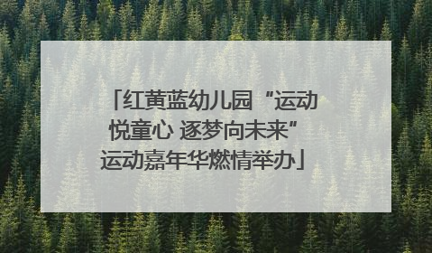 红黄蓝幼儿园“运动悦童心 逐梦向未来”运动嘉年华燃情举办