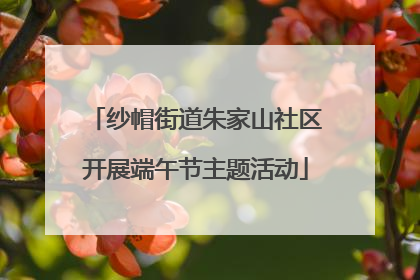纱帽街道朱家山社区开展端午节主题活动