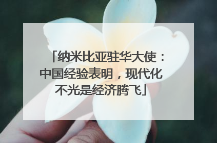 纳米比亚驻华大使：中国经验表明，现代化不光是经济腾飞