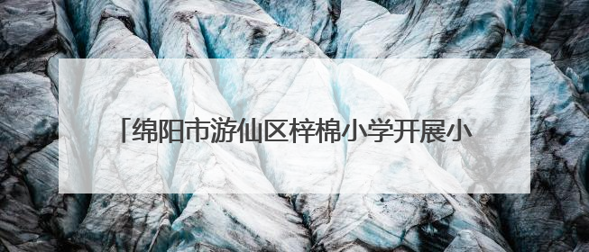 绵阳市游仙区梓棉小学开展小学语文“富乐课堂”教研活动