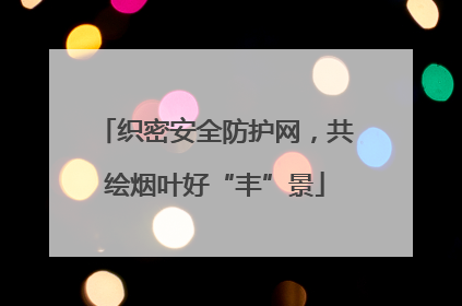 织密安全防护网，共绘烟叶好“丰”景