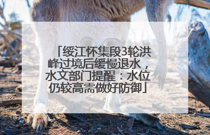 绥江怀集段3轮洪峰过境后缓慢退水，水文部门提醒：水位仍较高需做好防御