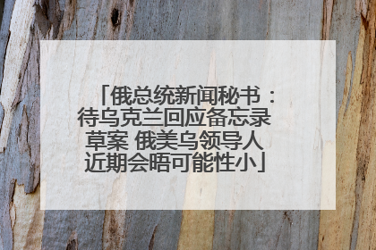 俄总统新闻秘书：待乌克兰回应备忘录草案 俄美乌领导人近期会晤可能性小