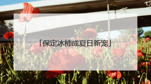 保定冰柿成夏日新宠