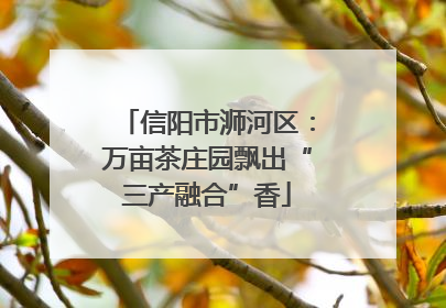 信阳市浉河区：万亩茶庄园飘出“三产融合”香