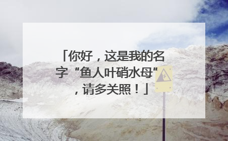 你好，这是我的名字“鱼人叶硝水母”，请多关照！
