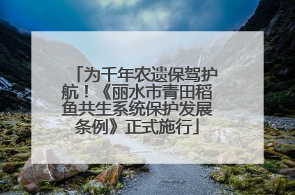 为千年农遗保驾护航！《丽水市青田稻鱼共生系统保护发展条例》正式施行