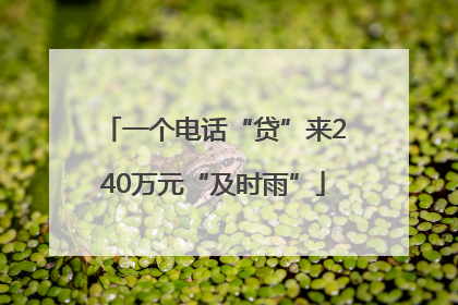一个电话“贷”来240万元“及时雨”