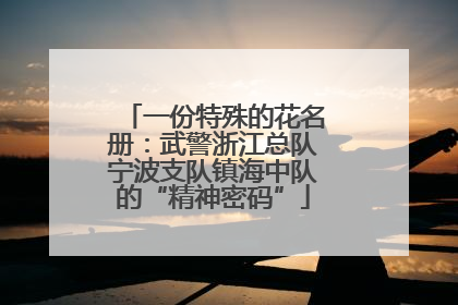 一份特殊的花名册：武警浙江总队宁波支队镇海中队的“精神密码”