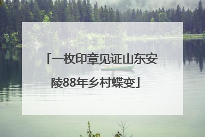 一枚印章见证山东安陵88年乡村蝶变