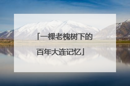 一棵老槐树下的百年大连记忆