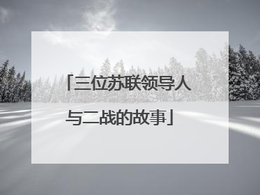 三位苏联领导人与二战的故事