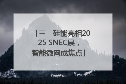 三一硅能亮相2025 SNEC展，智能微网成焦点